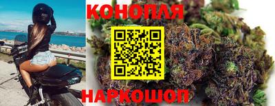 стафф Славгород