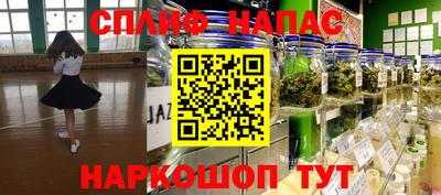 стафф Славгород