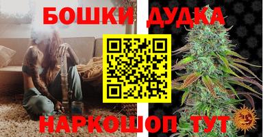 стафф Славгород