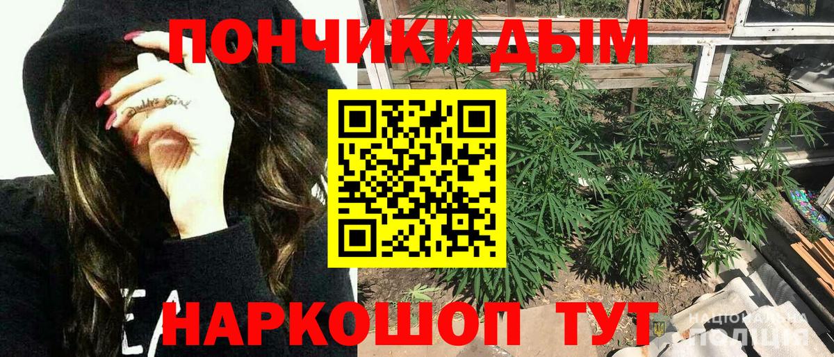 Бошки марихуана марихуана  Вход с VPN  Бошки марихуана семена  Марихуана OG Kush  Новоуральск 