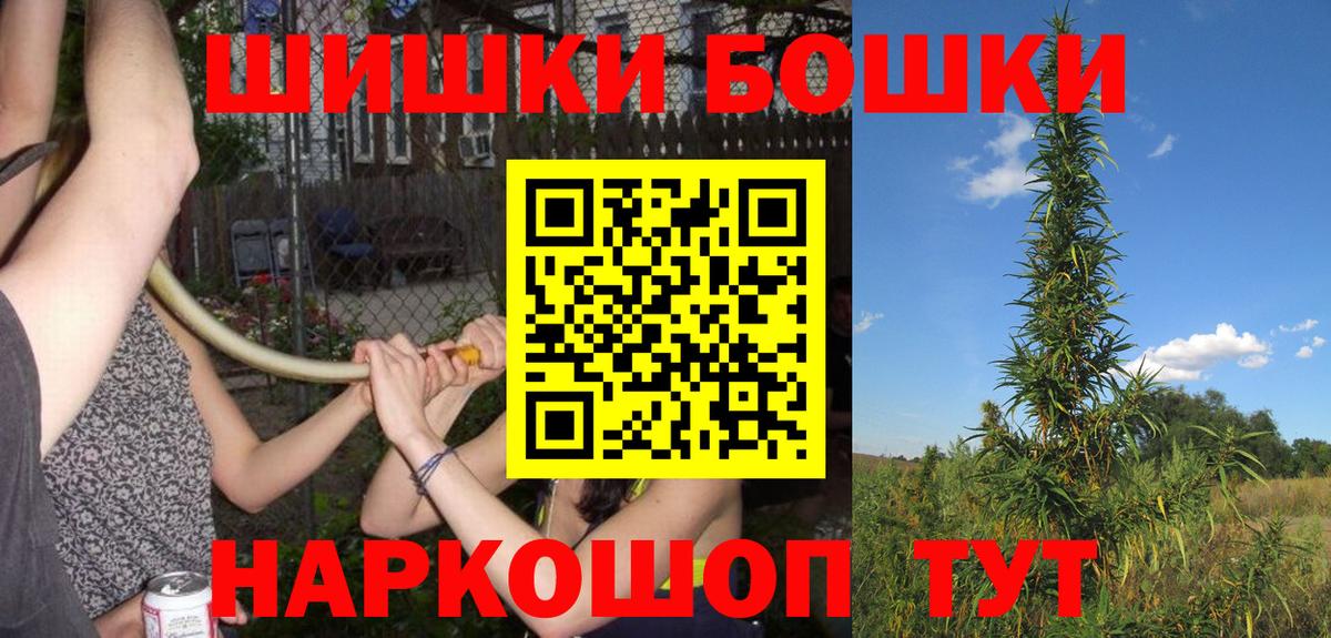 Бошки Шишки план Новоуральск